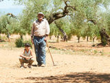 THE OLIVE TREE / by Jose Haro